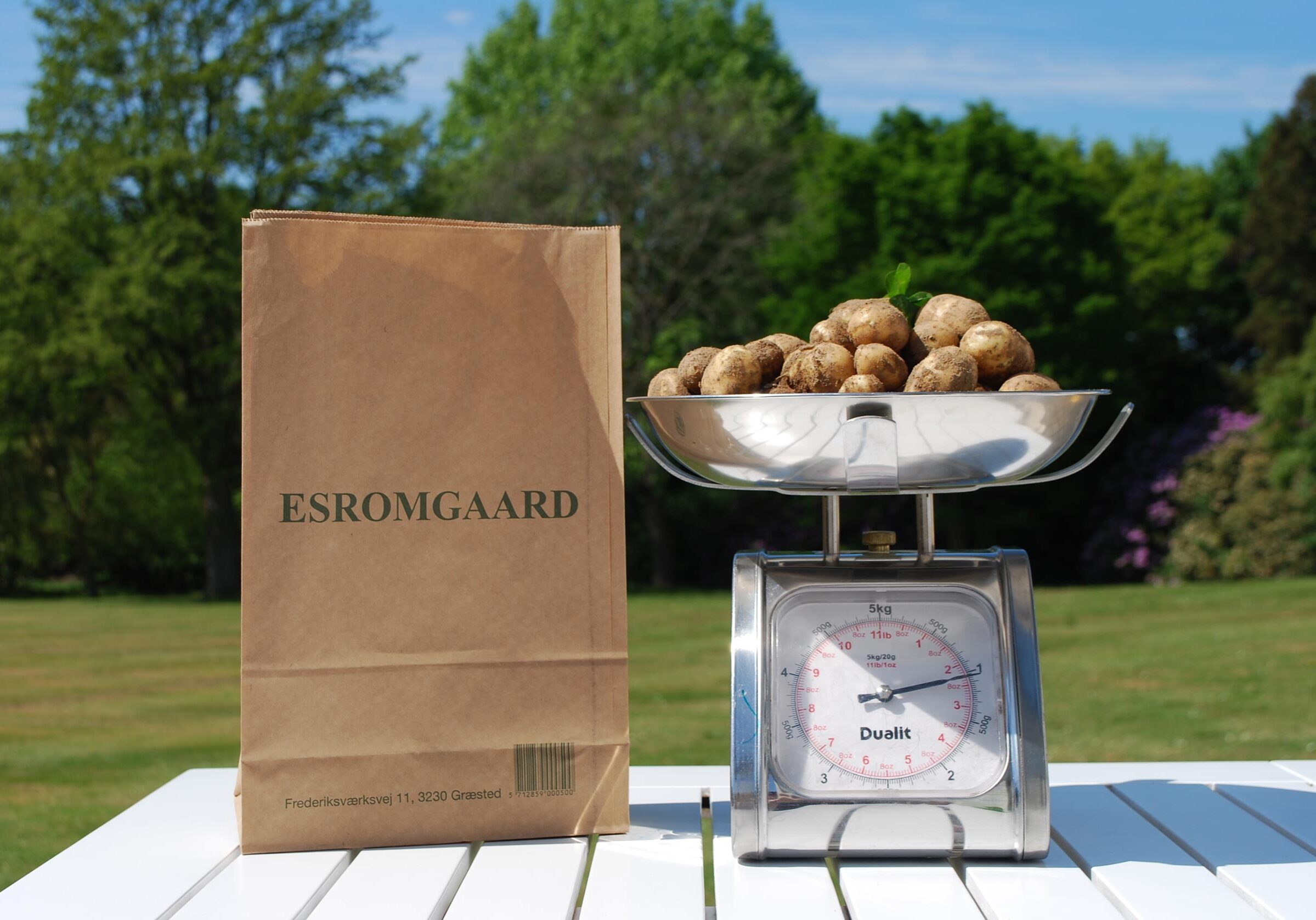 esromgaard-kartofler